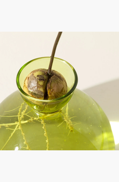 Uncommon Goods Avocado Vase In Grass Green