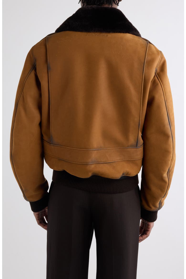 Lorby Genuine Shearling Collar Suede Bomber Jacket, Alternate, color, COGNAC BROWN