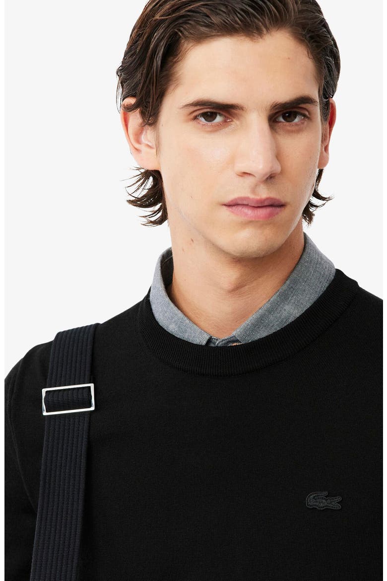 Merino Wool Crewneck Sweater, Alternate, color, NOIR
