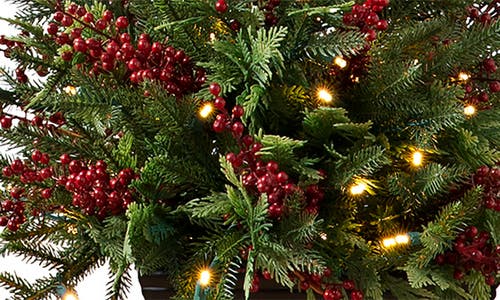 Balsam Hill Outdoor Red Berry Evergreen Pre-lit Artificial Potted Tree In Green