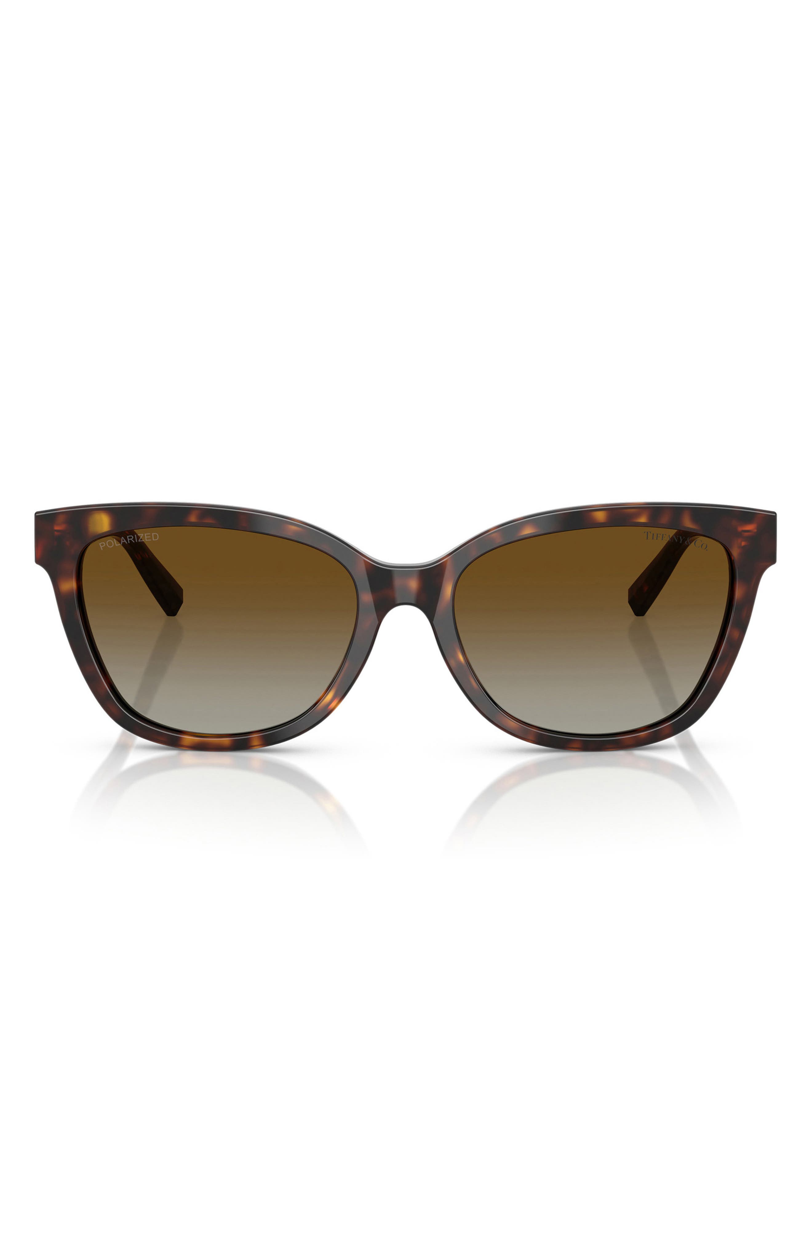 selected HAVANA/ POLAR BROWN GRADIENT