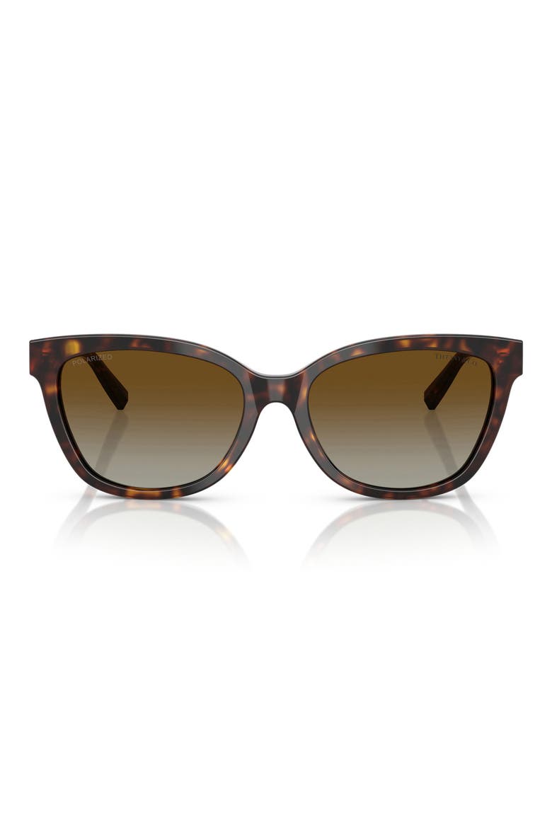55mm Polarized Gradient Cat Eye Sunglasses, Main, color, HAVANA/ POLAR BROWN GRADIENT