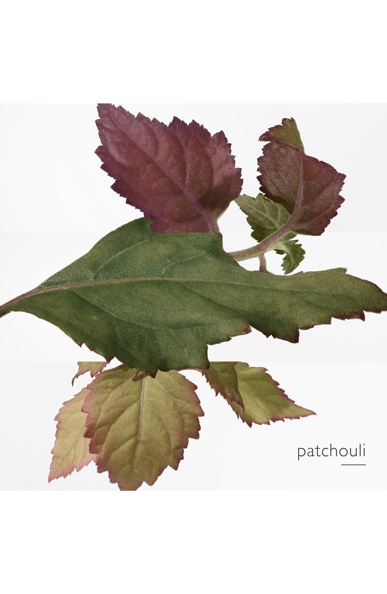 Hermès Twilly d'Hermès Eau Poivrée & Eau de Parfum Set, Alternate, color,