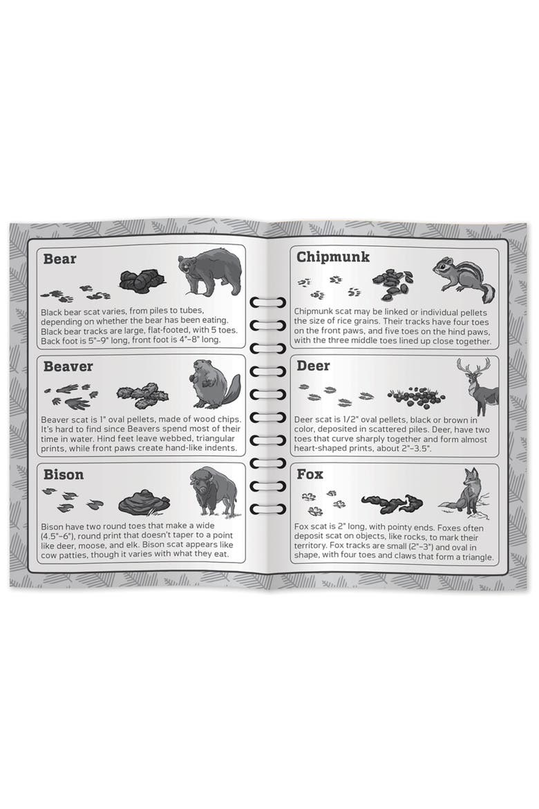 Jr. Ranger Poop Tracks Card Game, Alternate, color, Multicolor