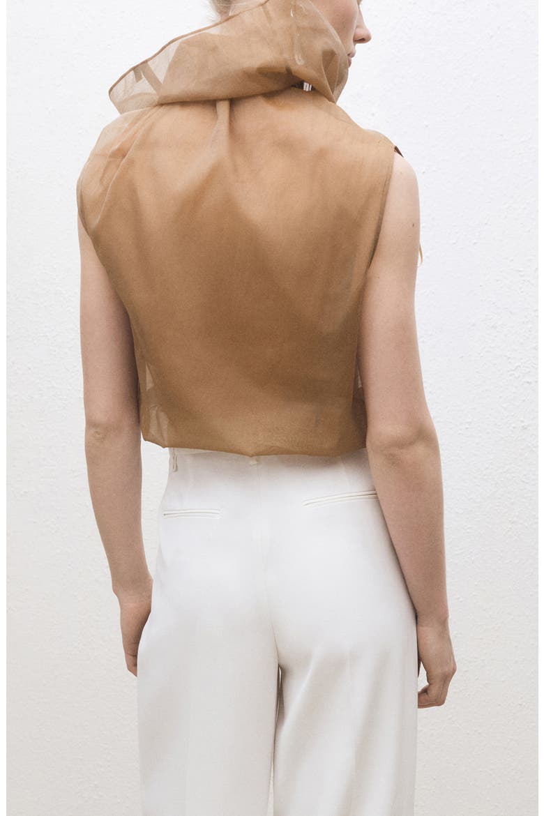 Cotton & Silk Organza Top, Alternate, color, MEDIUM BROWN