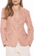 Alexia Admor Nyx Lace Blazer