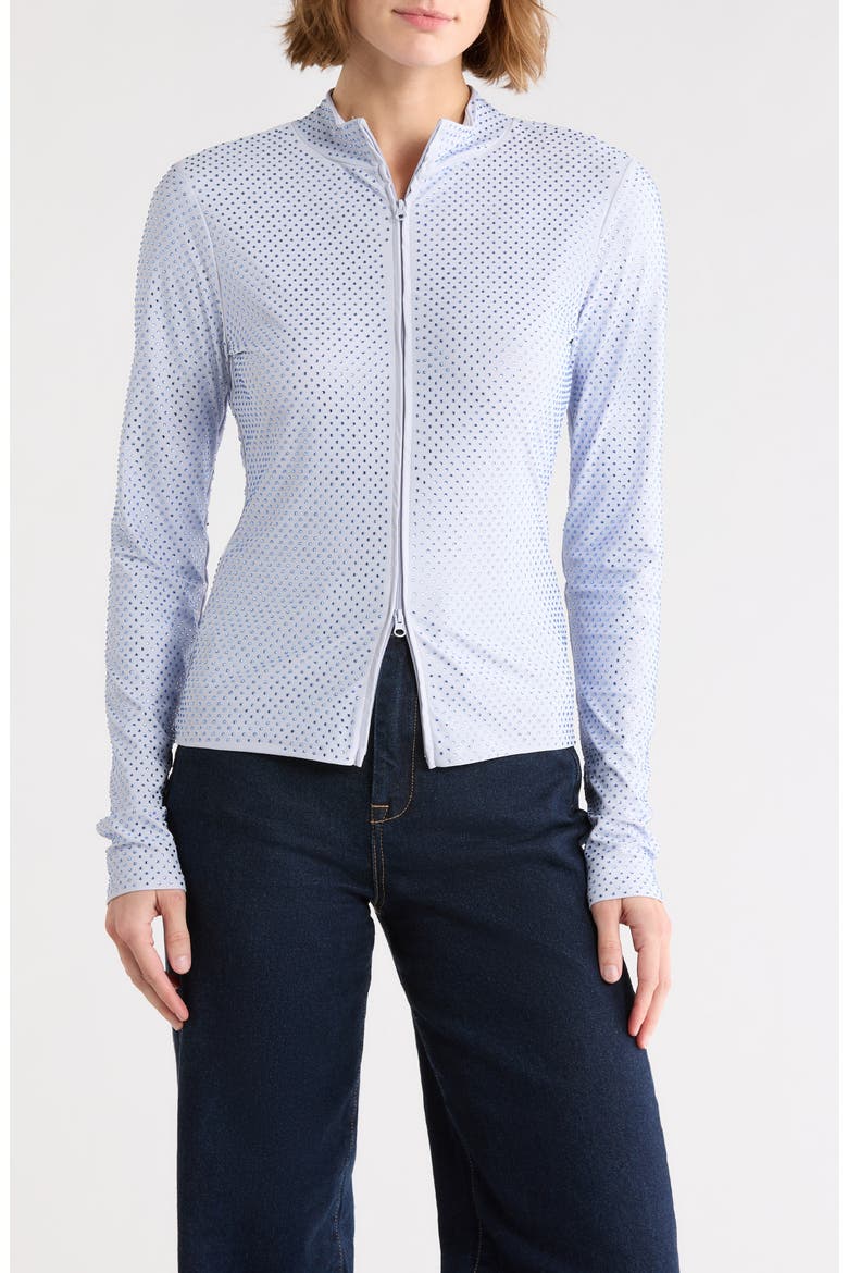 Crystal Mock Neck Long Sleeve Zip Crop Top, Main, color, GLASS001