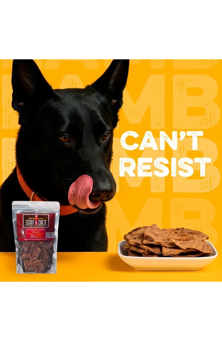 Scout & Zoe's Lamb Lung , 3oz Dog Treats, Freeze Dried, Single Ingredient, Alternate, color, Multicolored