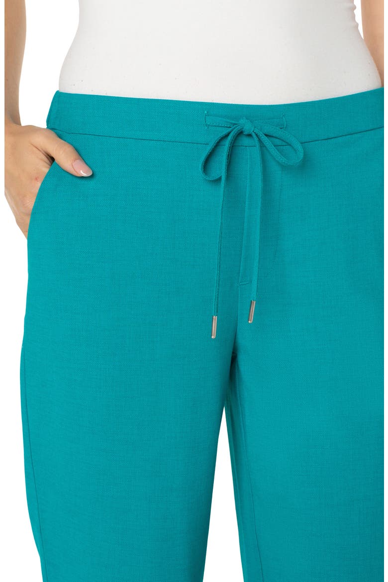 Pull-On Crop Wide Leg Pants, Alternate, color, LAKE BLUE