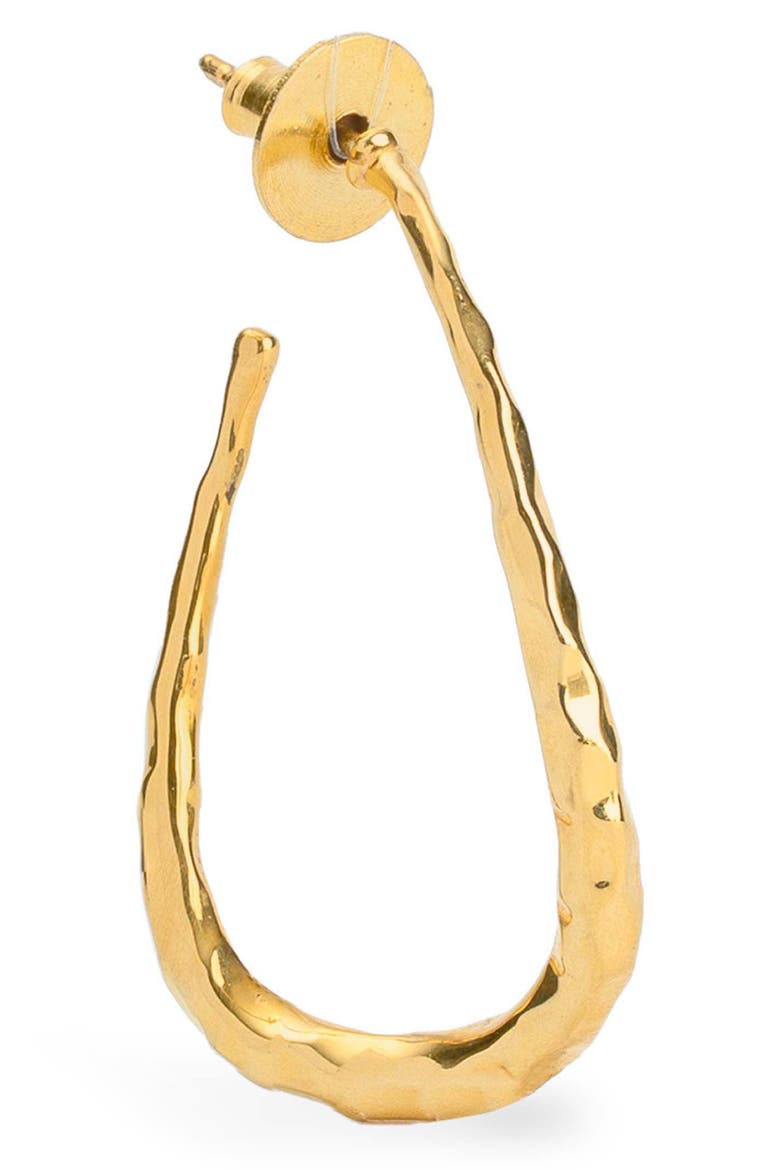 Raya Hoop Earrings, Alternate, color, GOLD
