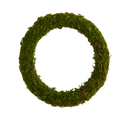 20-in Moss Artificial Wreath