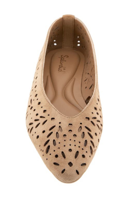 Splendid Latouche Perf Flat In Brown