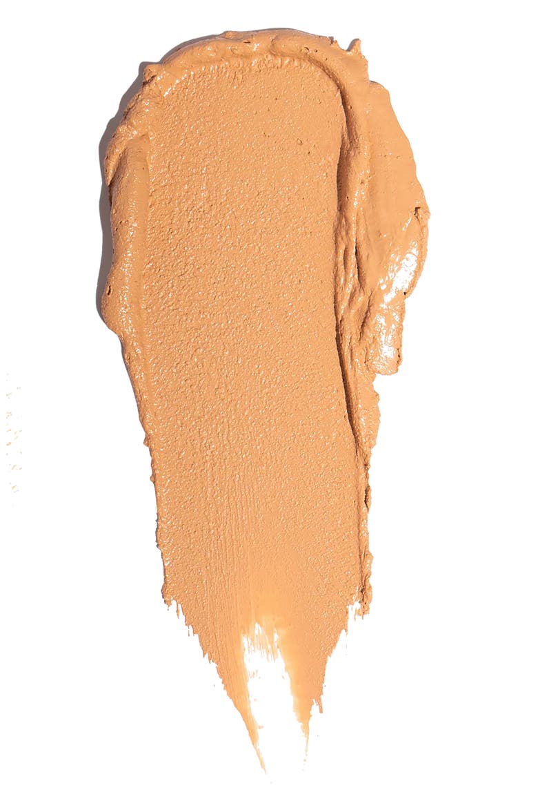 Sculpted Complexion Foundation Stick, Alternate, color, LINDEN
