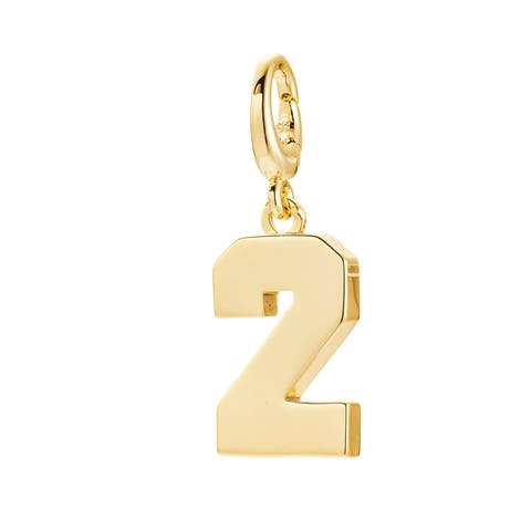 Drip Digits Number Pendant Charm