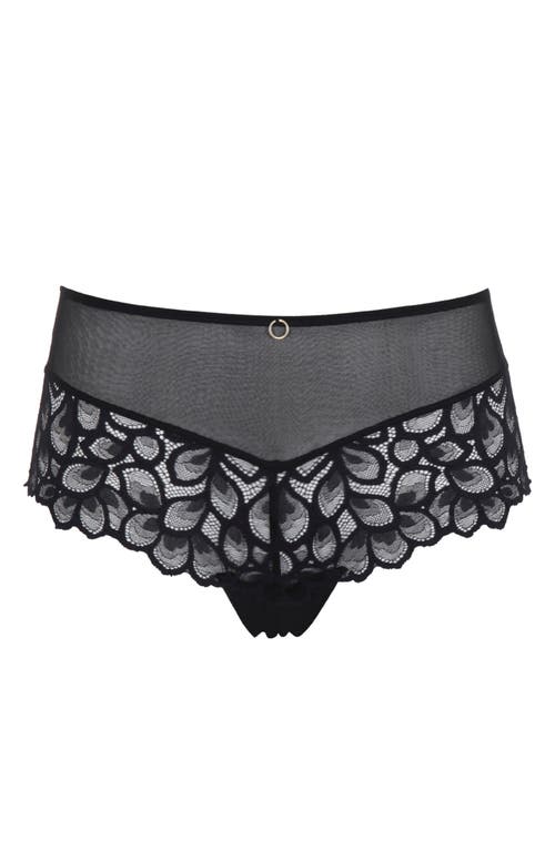 Panache Allure Lace Cheeky Briefs In Black