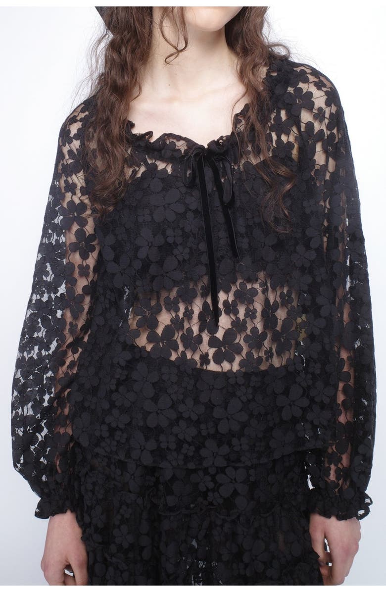 Anna Sui Shadow Blossom Tulle Elastic Lace Blouse, Alternate, color,