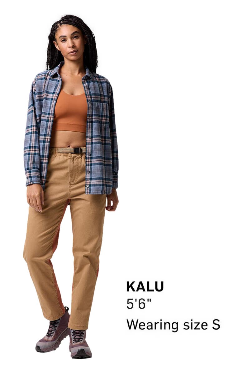 Backcountry Venture Daily Pant - Women's, Alternate, color, Bistre/Sierra