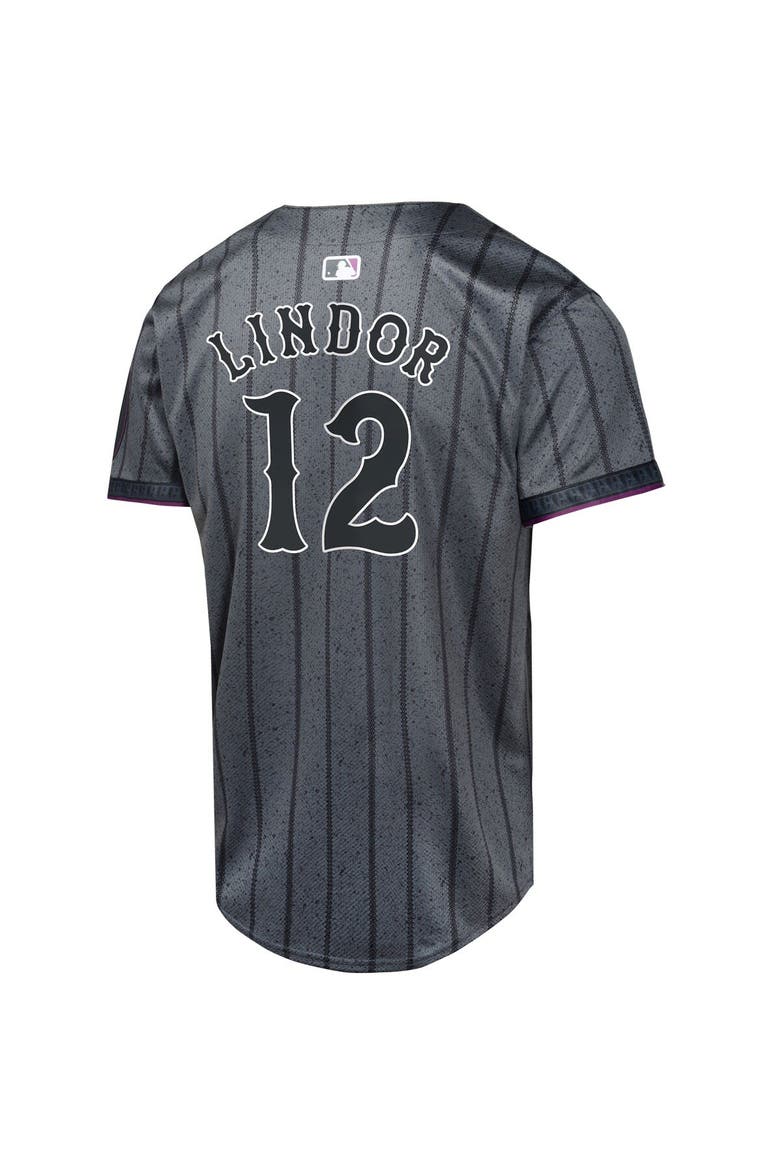 Youth Nike Francisco Lindor Graphite New York Mets 2024 City Connect Limited Player Jersey, Alternate, color, Graphite