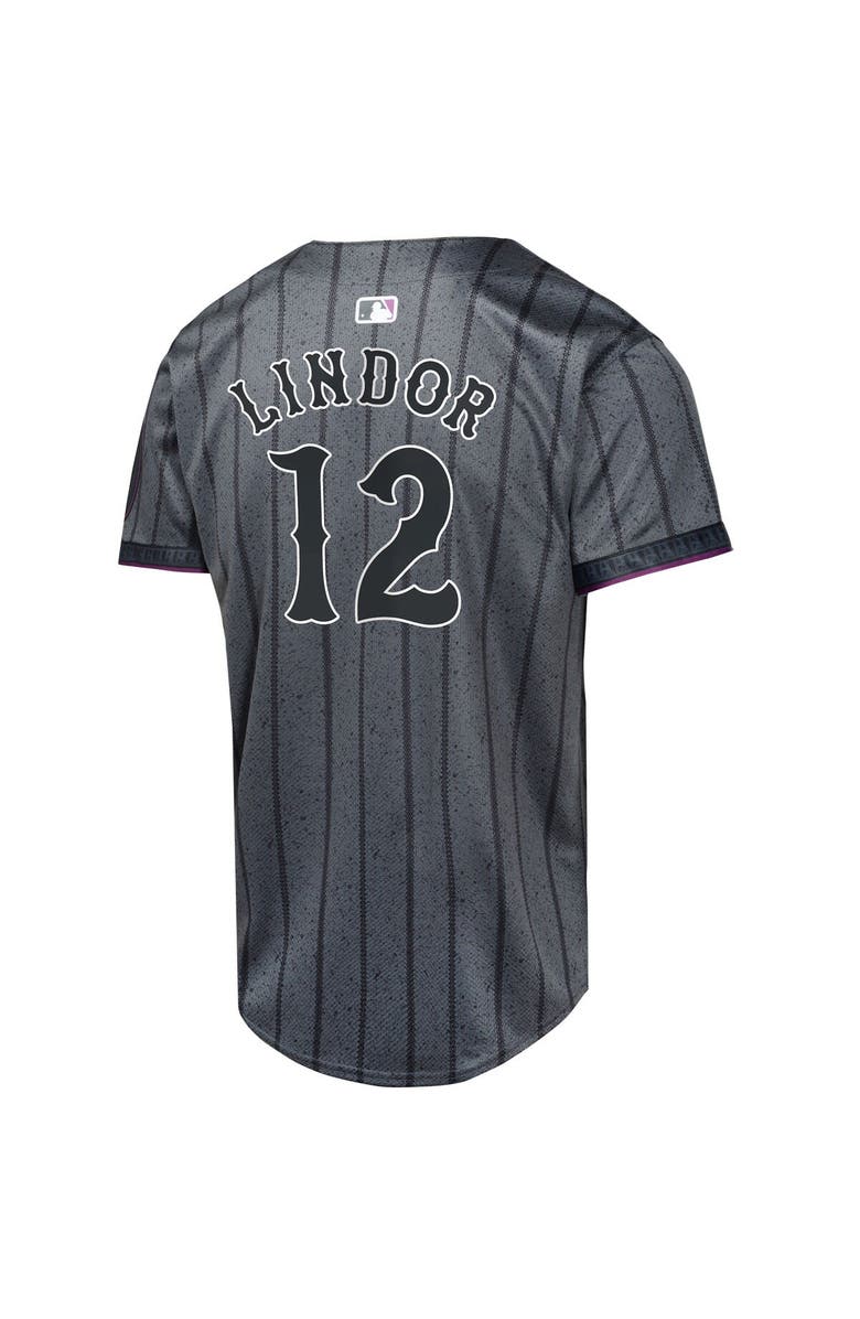Nike Youth Nike Francisco Lindor Graphite New York Mets 2024 City Connect Limited Player Jersey, Alternate, color, Graphite