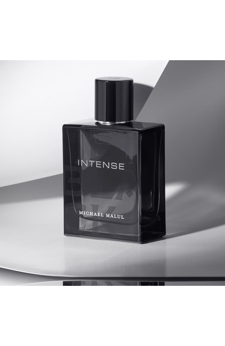 Michael Malul Jet Black Intense 3.4oz/100mL Men's EDP, Alternate, color, Black/Oxford