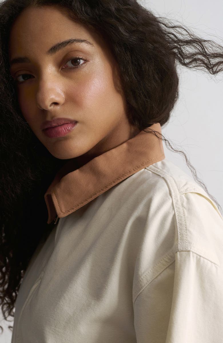 Brooklyn Industries Turtledove Jacket, Alternate, color, Turtledove