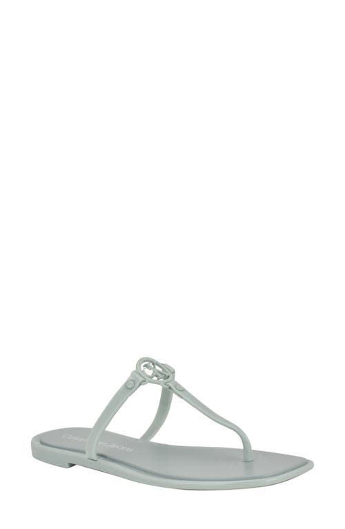 Calvin Klein Edhen Flip Flop In Light Green 331