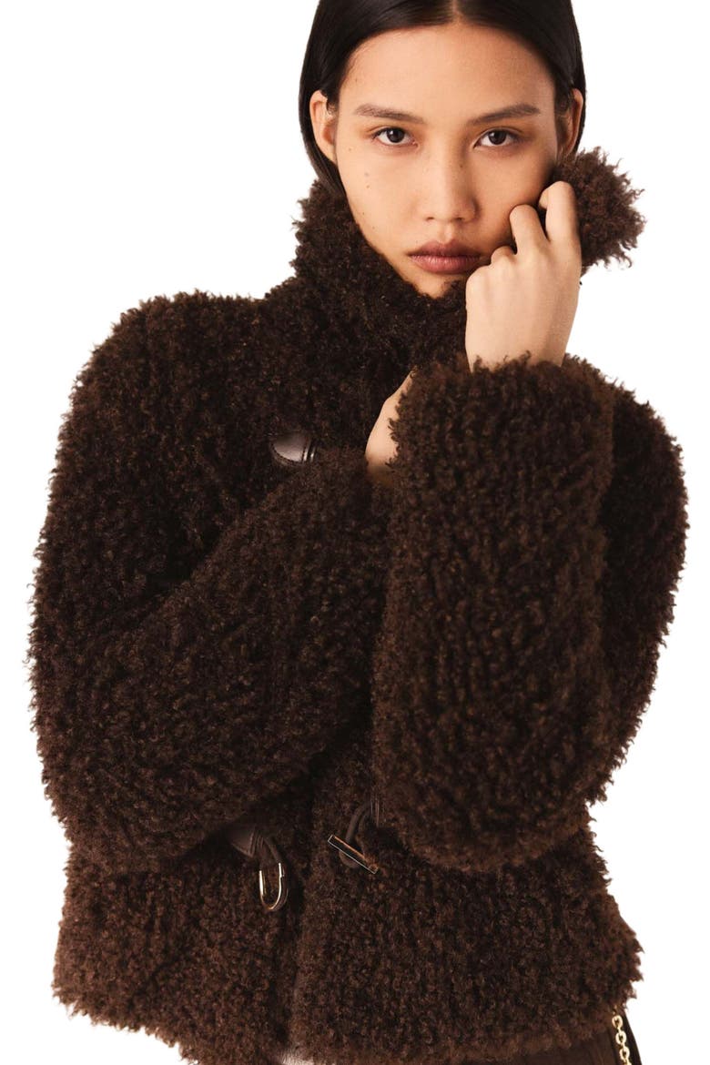 Short curly coat, Alternate, color, Dark brown