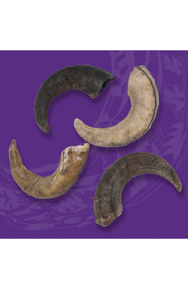 ICELANDIC+ Large Lamb Horn Dog Chew, Alternate, color, Multicolored