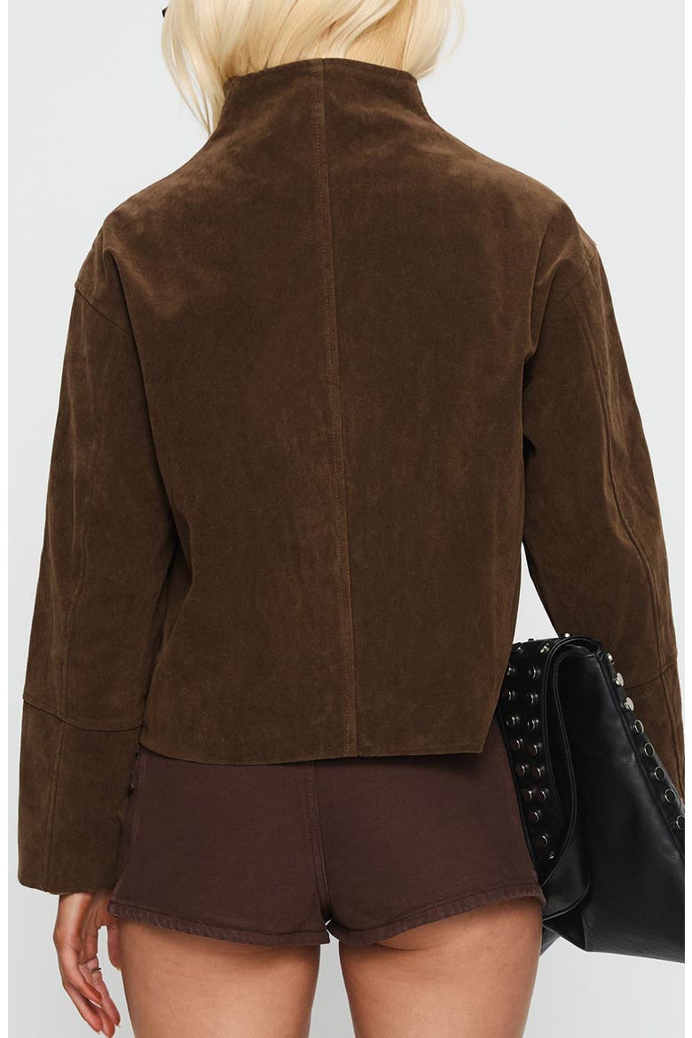 Jessalynn Faux Suede Full Zip Jacket, Alternate, color, BROWN