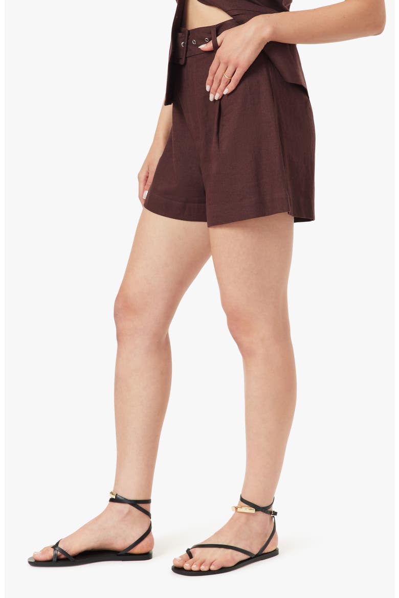 Belted Pleat Front Shorts, Alternate, color, SUMMER PLUM