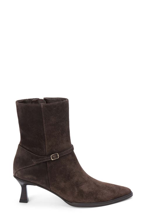 Matisse Ilana Pointed Toe Bootie In Brown