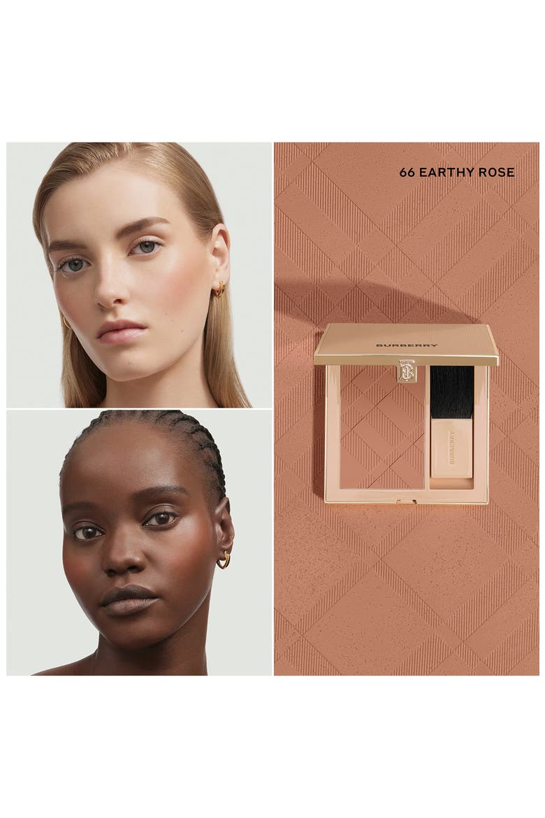 Powder Blush, Alternate, color, EARTHY ROSE