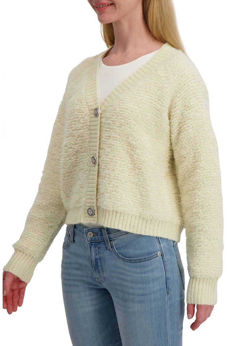 Raglan Sleeve Bouclé Cardigan, Alternate, color, TOFU