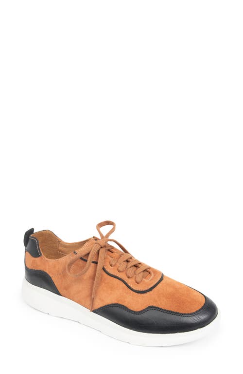 Patricia Green Travel Sneaker In Brown