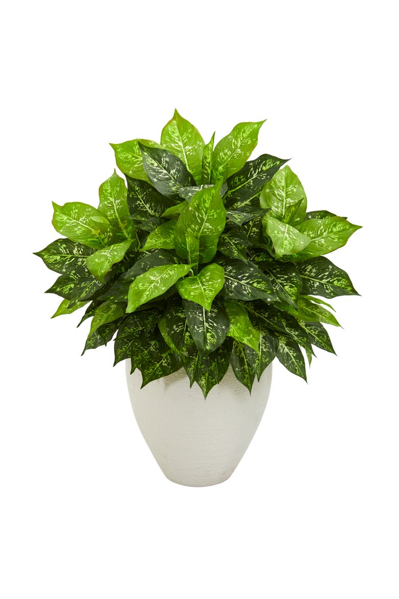 Dieffenbachia Artificial Plant in White Planter, Main, color, Green