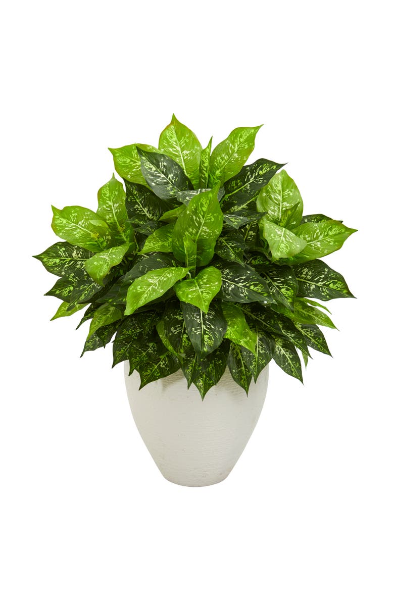 NEARLY NATURAL Dieffenbachia Artificial Plant in White Planter, Main, color, Green