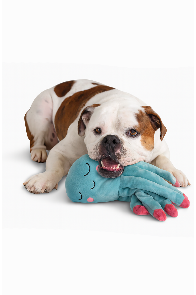 My BFF Plush Dog Toy, Alternate, color, Gus the Octopus