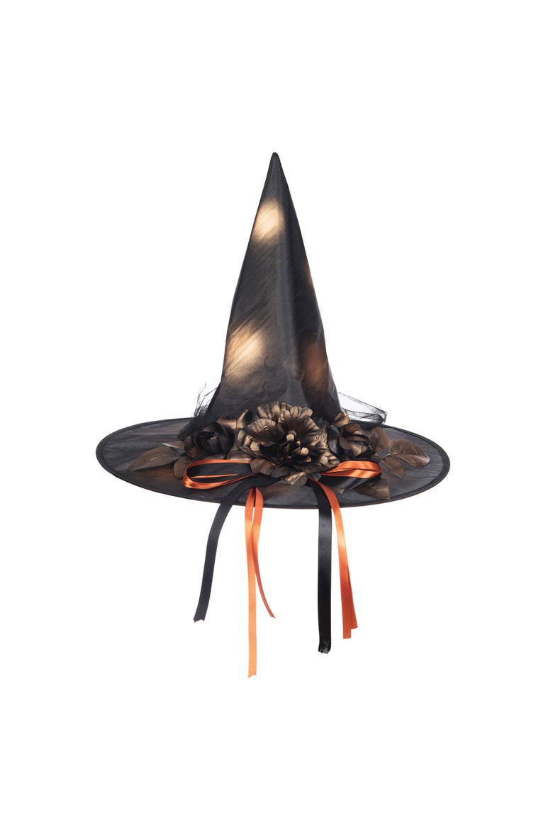 Copper & Black Witch Costume Hat, Main, color, Black