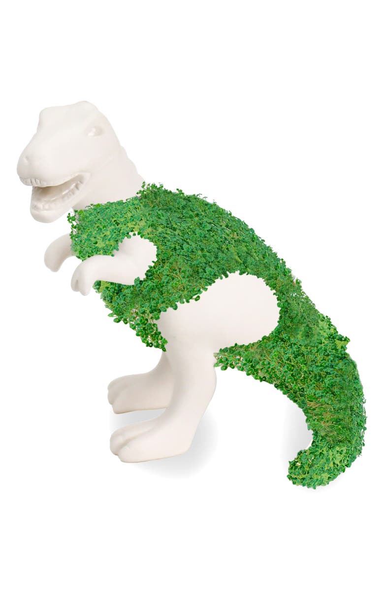 GIFT REPUBLIC Chia-Saurus Rex, Alternate, color,
