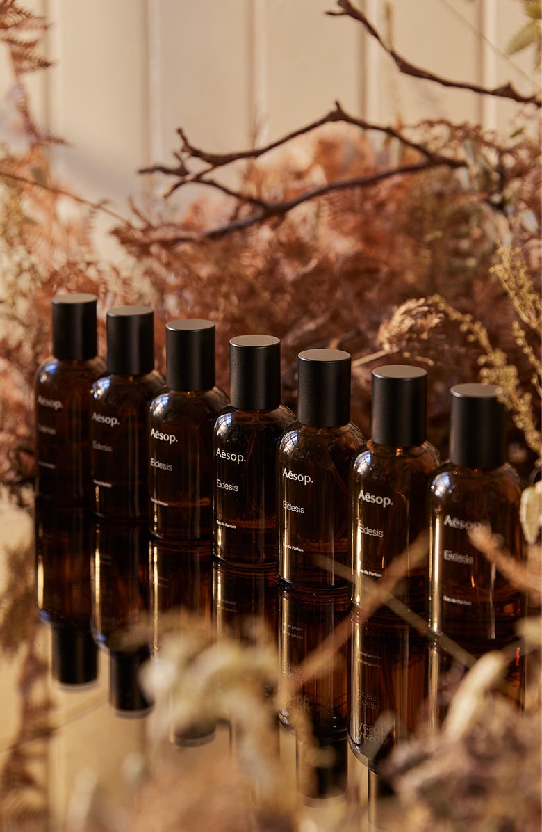 Aesop Eidesis Eau de Parfum, Alternate, color, 