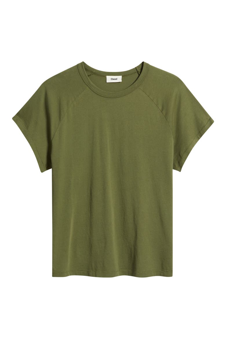 Raglan Sleeve T-Shirt, Alternate, color, OLIVE