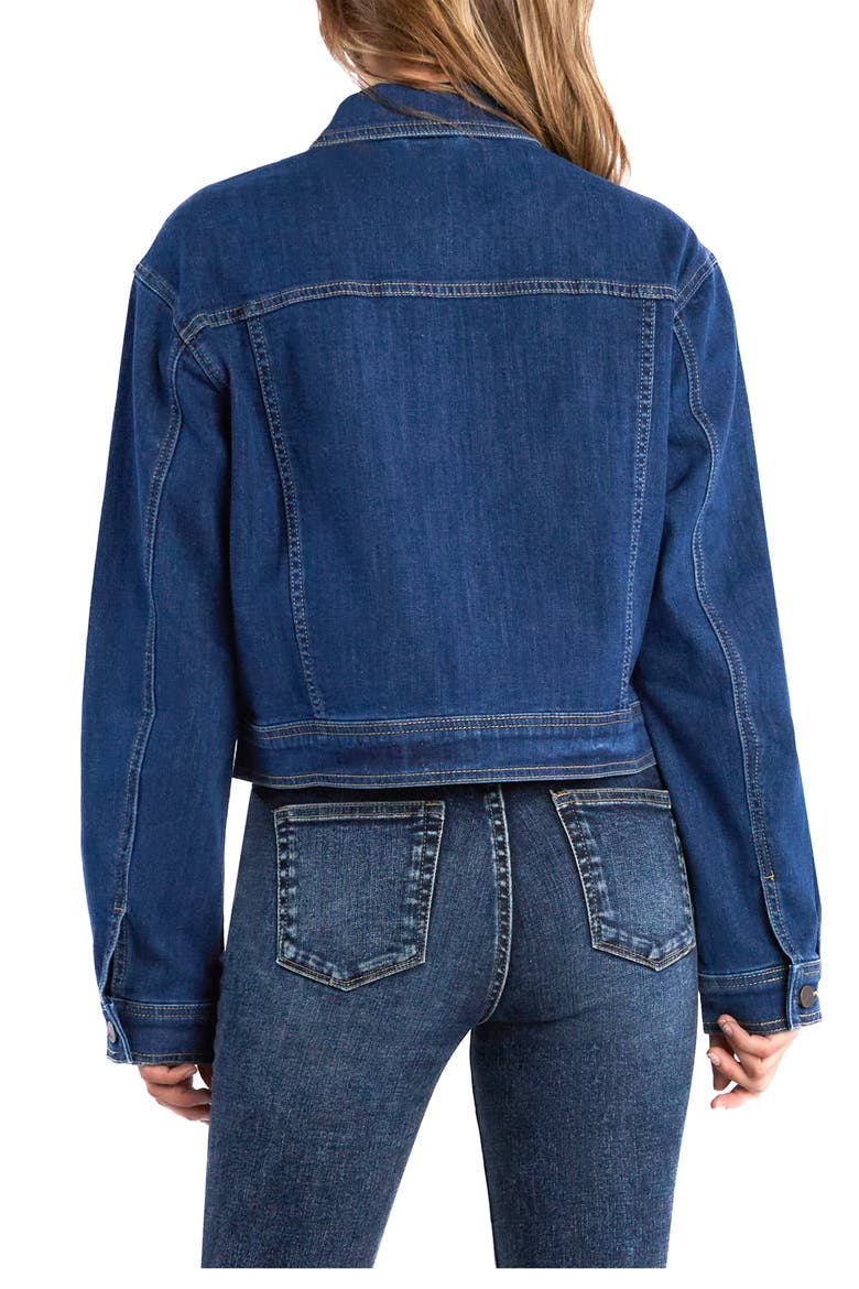 Anaise Crop Denim Jacket, Alternate, color, ANAISE BLUE