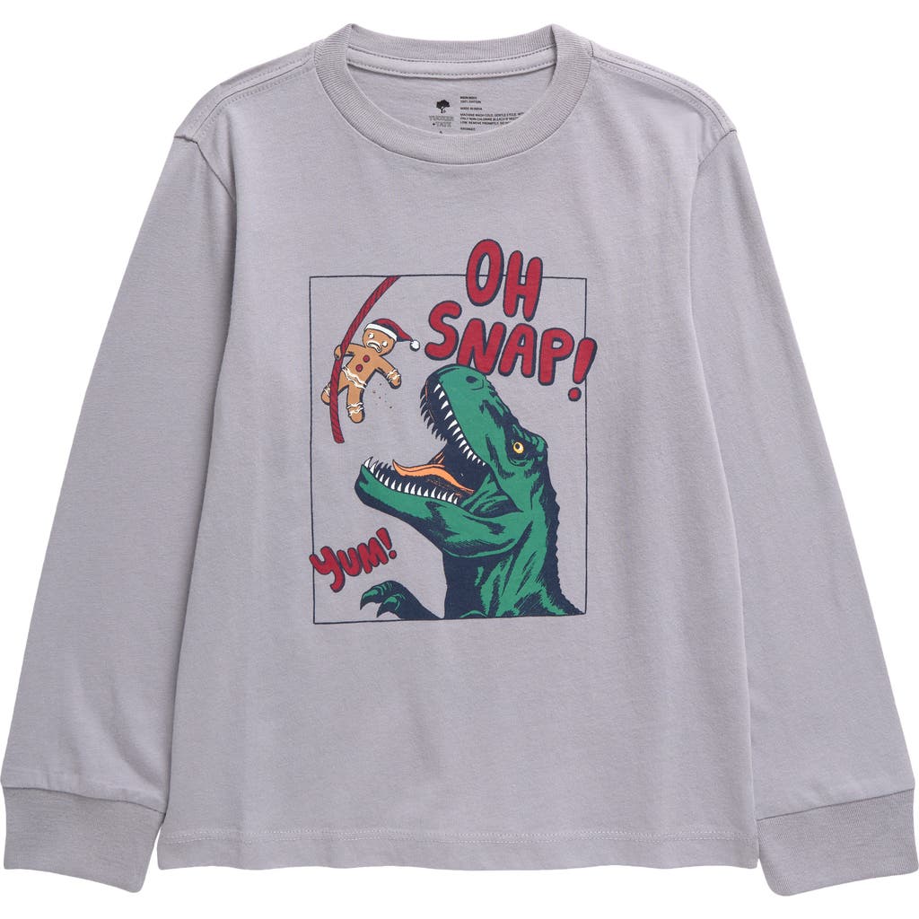 Tucker + Tate Kids' I Tried Long Sleeve Graphic T-Shirt in Grey Sleet Oh Snap