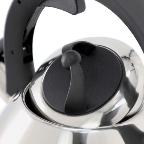 Mr Coffee Mr. Coffee Starsbury 2.1 Quart Stainless Steel Whistling Tea Kettle With Stay-cool Handles In Silver