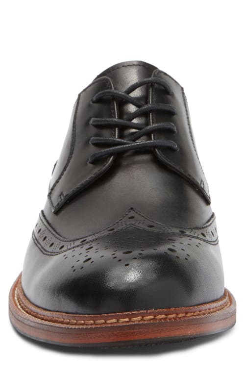 Steve Madden Eferm Wingtip Derby In Black