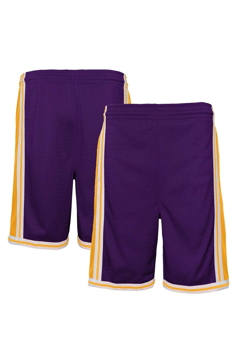 Mitchell & Ness Youth Mitchell & Ness Purple Los Angeles Lakers Hardwood Classics Swingman Shorts, Main, color, Purple