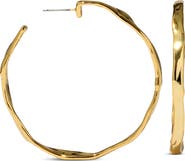 Alexis Bittar Brut Skinny Hoop Earrings