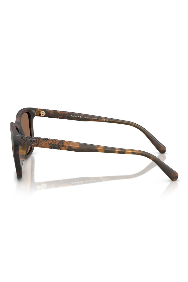 54mm Square Sunglasses, Alternate, color, MATTE TORTOISE / BROWN SOLID
