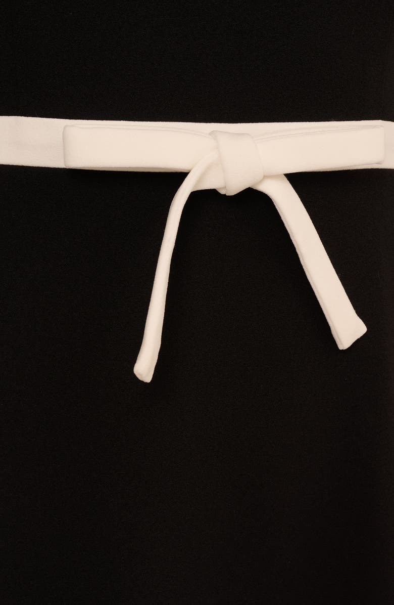 Adrianna Papell Bow A-Line Crepe Dress, Alternate, color, Black/ Ivory