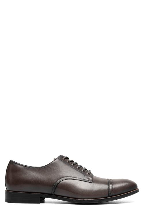 Stacy Adams William Cap Toe Oxford In Gray